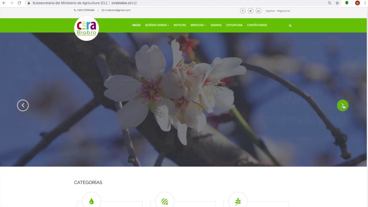 Conociendo www.cirabiobio.cl