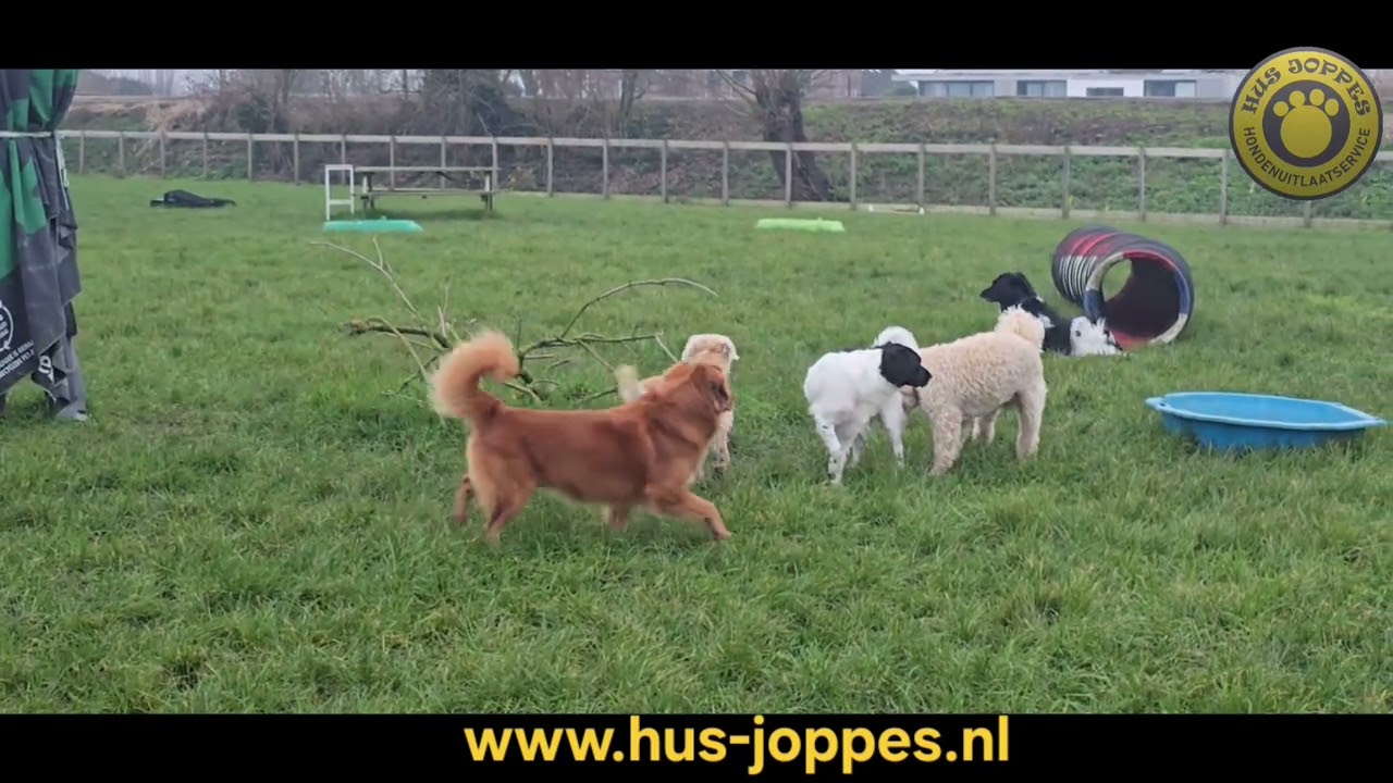 www.hus-joppes.nl