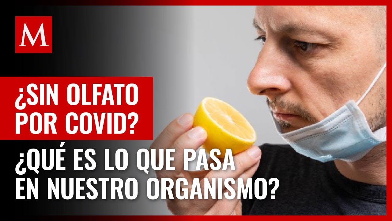 &iquest;Qu&eacute; es lo que pasa en nuestro organismo cuando nos quedamos sin olfato por covid?