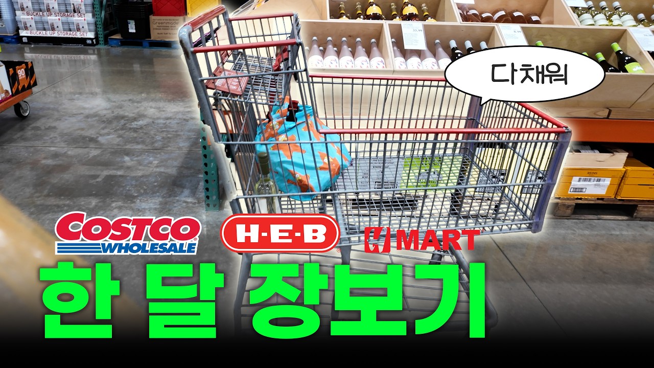 🇺🇸 한달치 장보는 비용 대공개 | 마트 11번이나 감 ㅋ