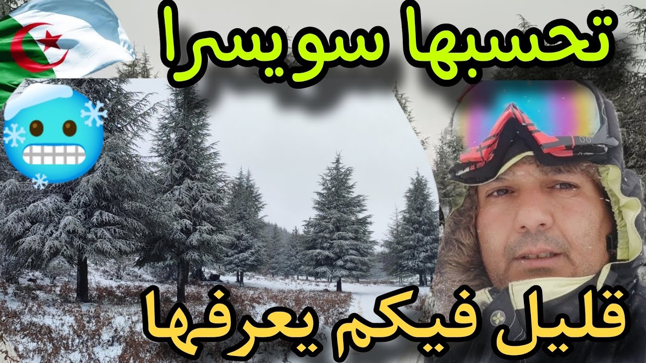 جنة بأعالي جبل زكار  ولاية عين الدفلى 🌨🌨