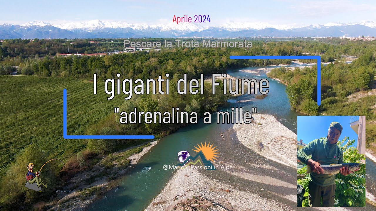 Trote marmorate: I giganti del fiume, 