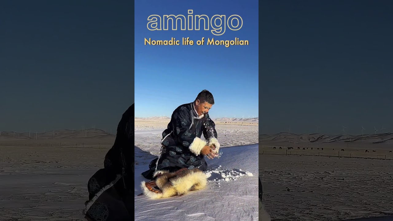 Mongolian nomadic life - amingo
