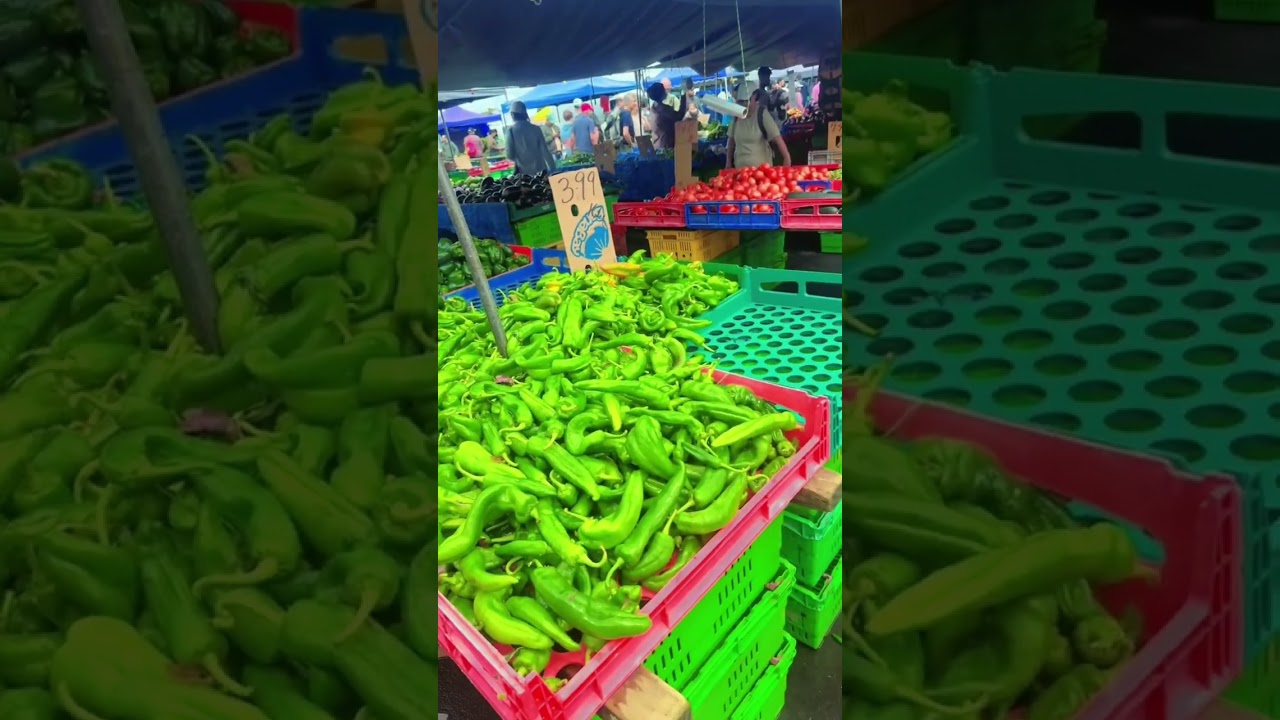 Sunday market in newzealand 🇳🇿