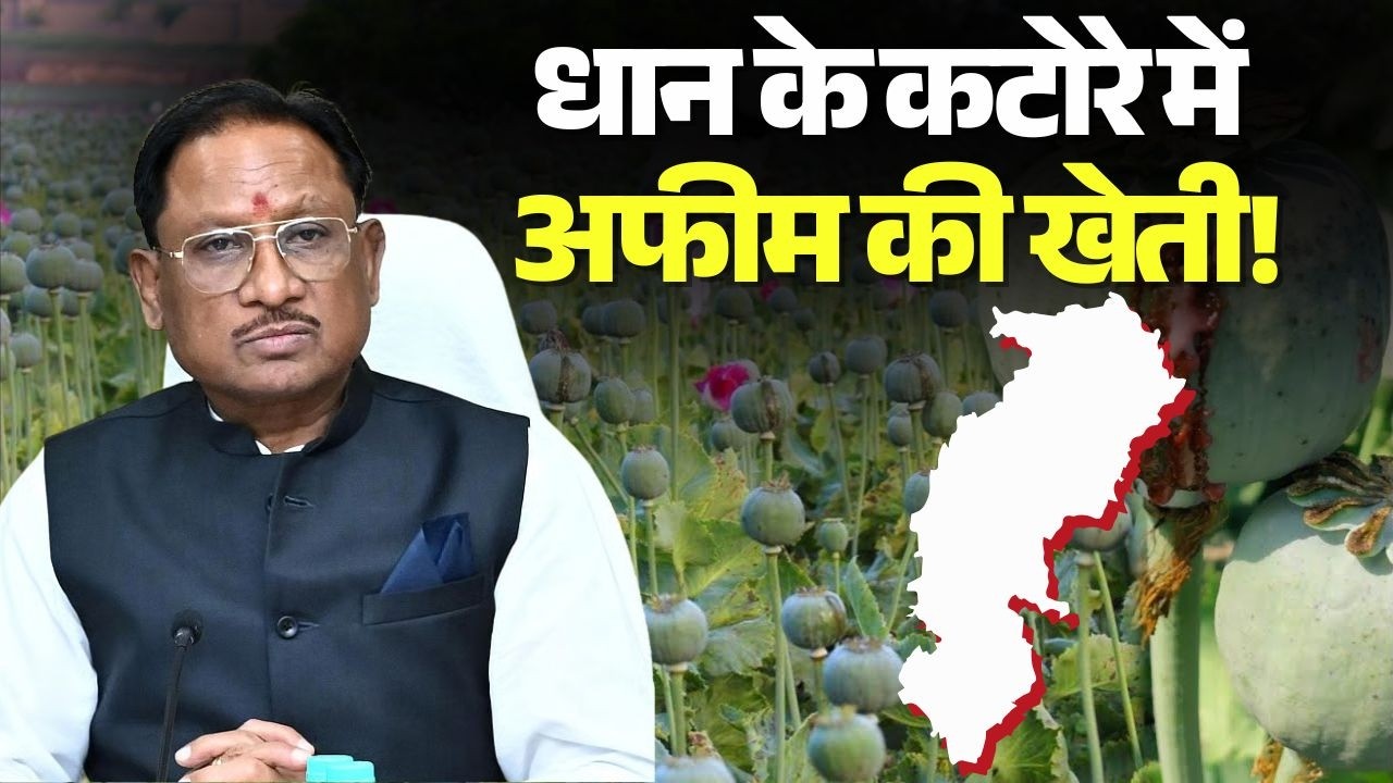 Chhattisgarh  Afeem Farming Case: धान के कटोरे में अफीम की खेती! पहले Durg.. फिर Balrampur