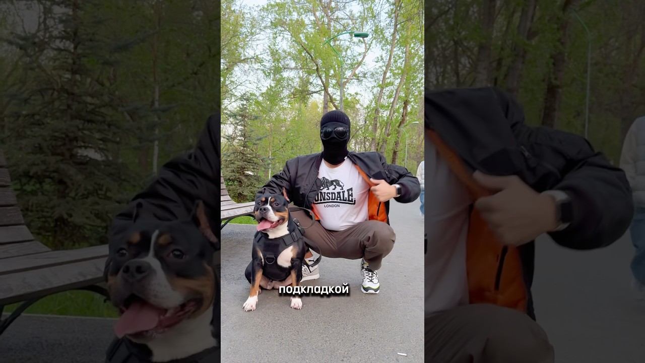 За этот шмот спросят и заставят пояснить! Отвечаем за Pitbull, Lonsdale