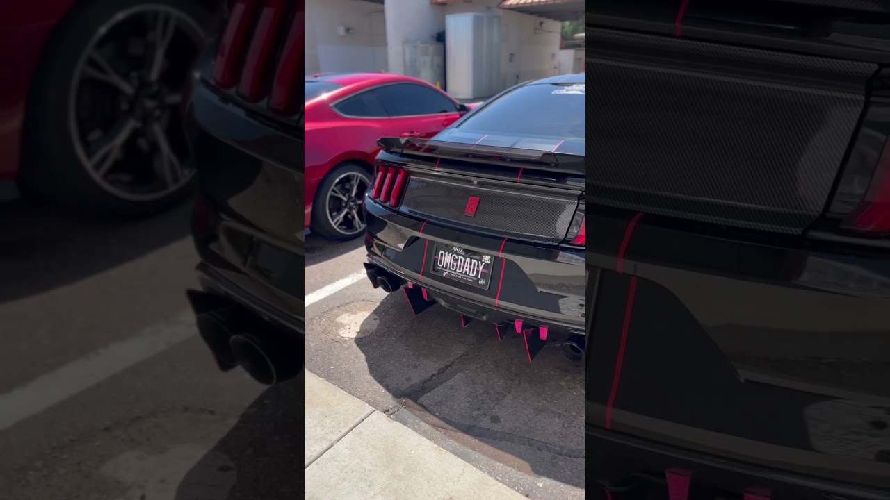 Do i have the most INSANE   sounding mustang, with my GHOST cam tune setup!?!😈🚀