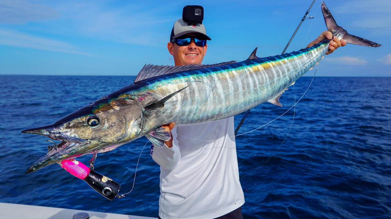 The Fish You DREAM of... (Panama Fishing)