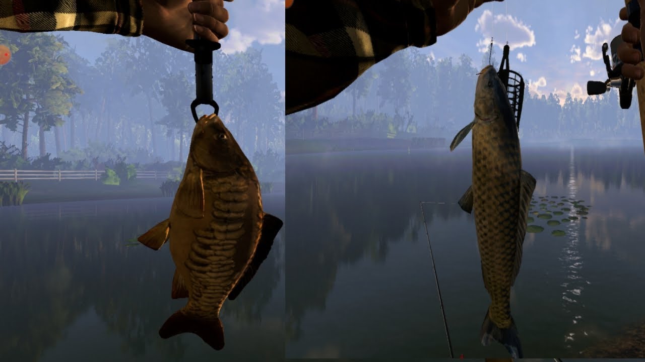 My Fishing Planet  (Карпы ломают удочки. И 15 лвл)