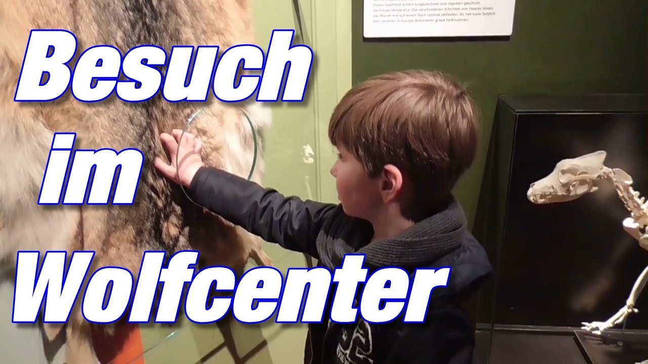 Memories #02 Besuch im Wolfcenter