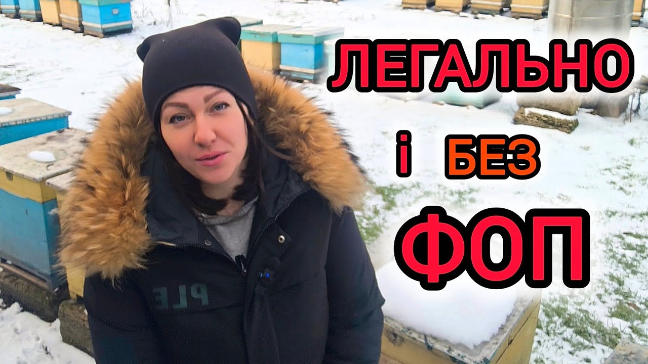 Як без ФОП працювати легально. Захисти свій бюджет в 2026 році 