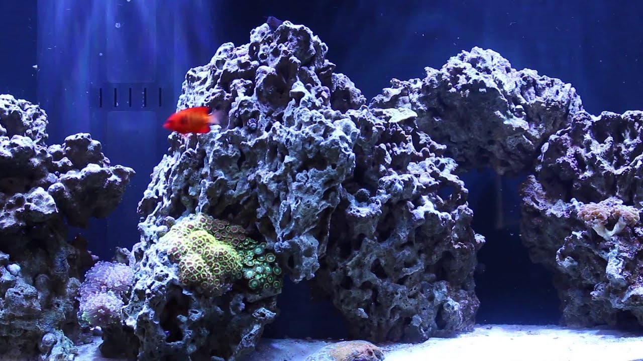 Redfield Ratio Experiment