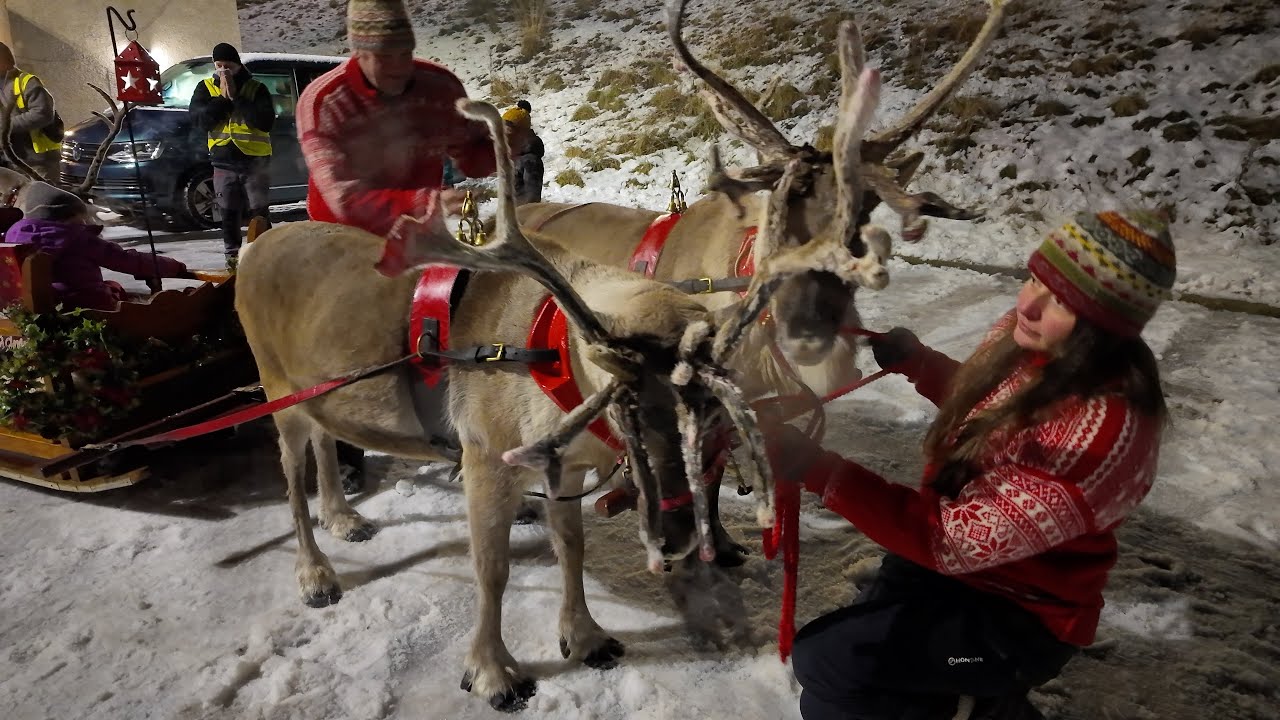 Sleigh bells ring as reindeer pull Santa on his sleigh around the 2024 Banchory Christmas Festival