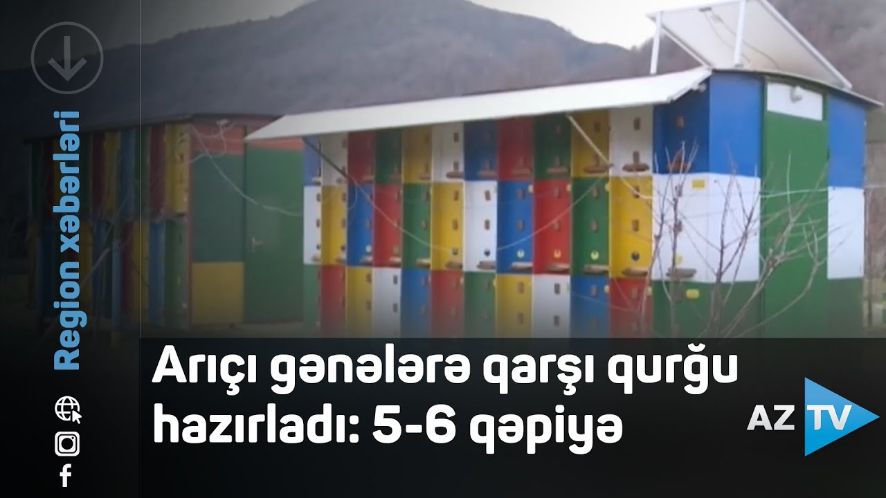 Arıçı gənələrə qarşı qurğu hazırladı: 5-6 qəpiyə...