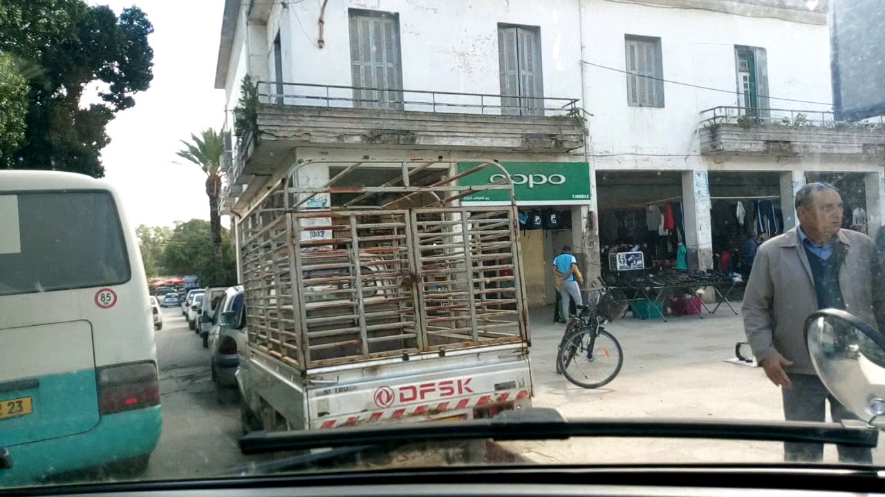 عزابة azzaba