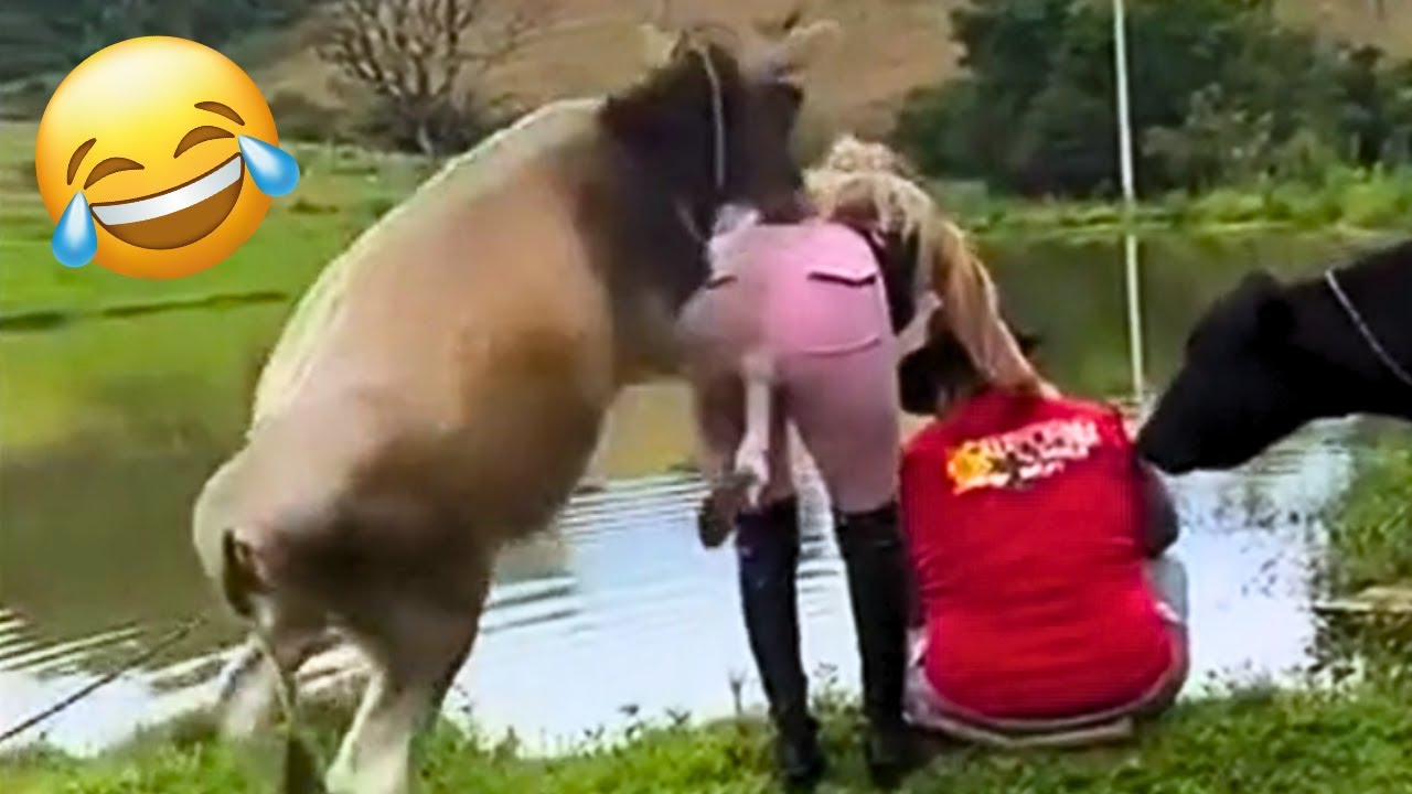 TRY NOT TO LAUGH 😂 Best Funny Videos compilation - Fails, Pranks & Hilarious Moments 🤣 Part 77