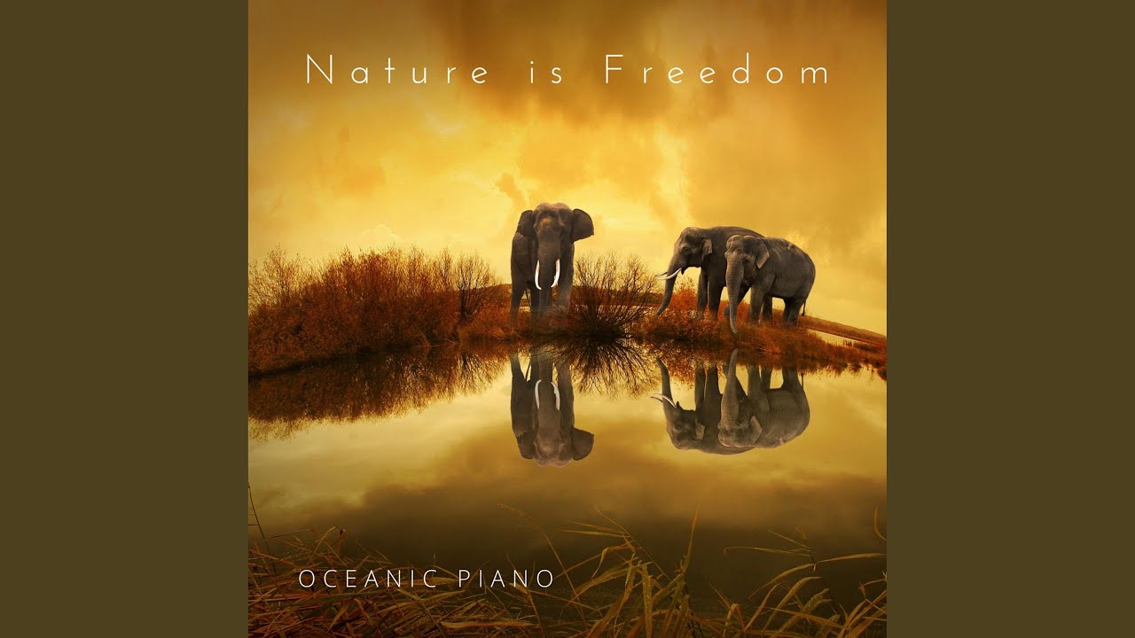 Hypnotic Nature