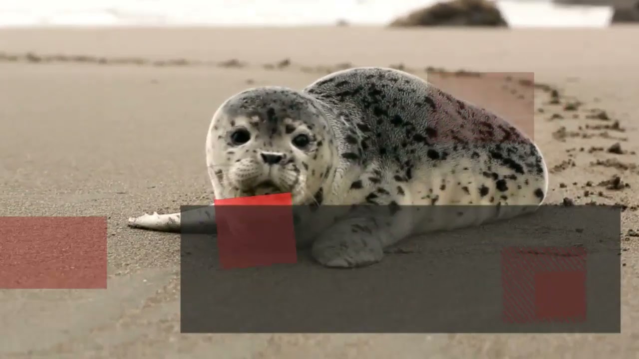 Trust and commitment to relationships.