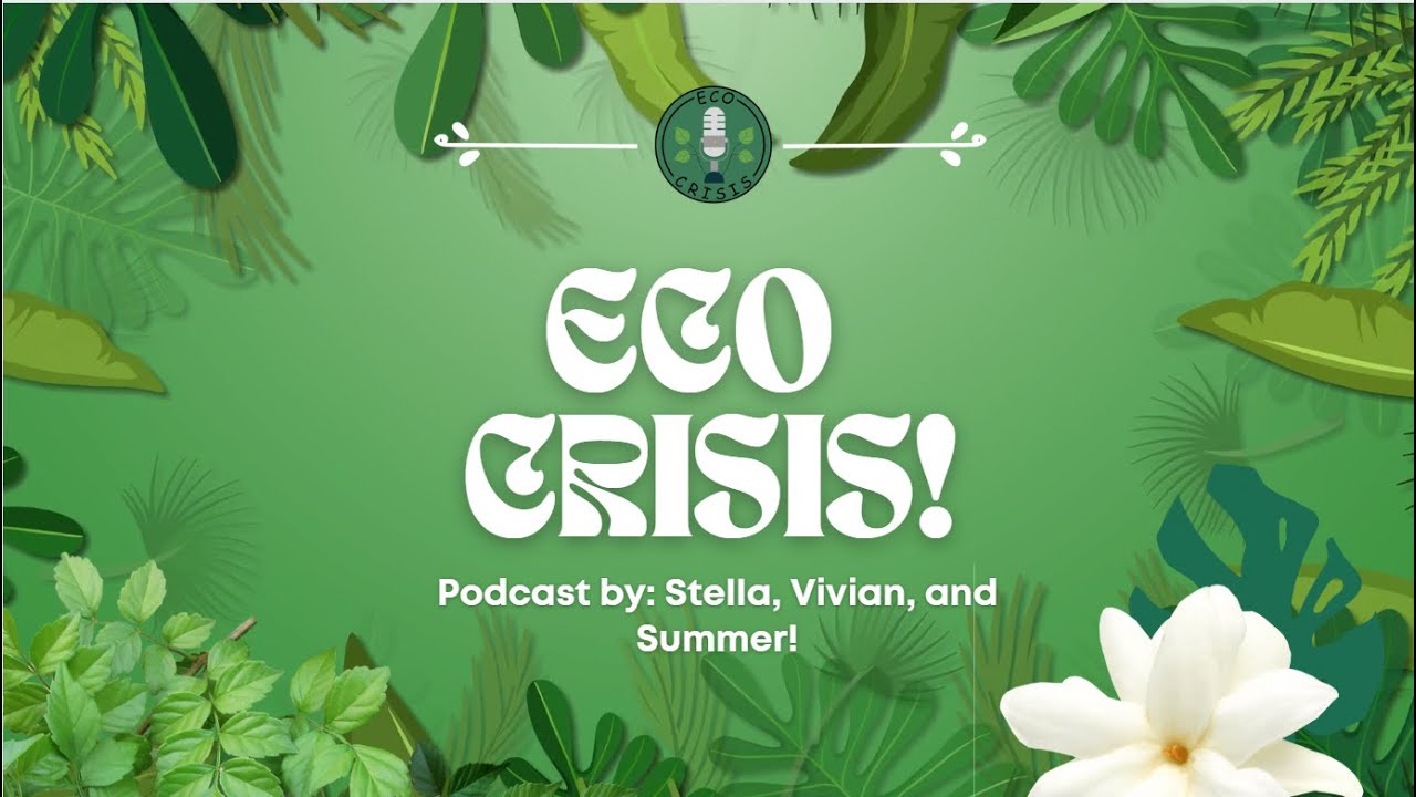 Eco Crisis - Deforestation