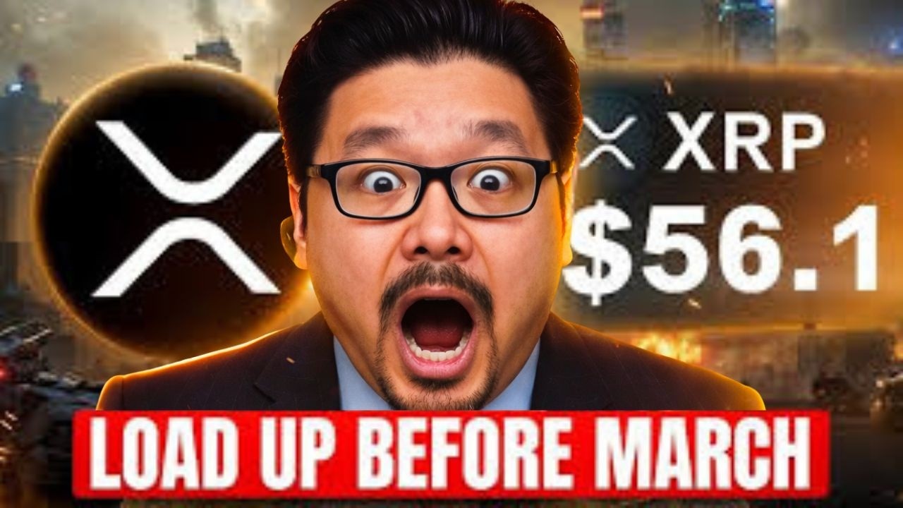 Why I'm Loading Up MASSIVELY On XRP Before March - Raoul Pal