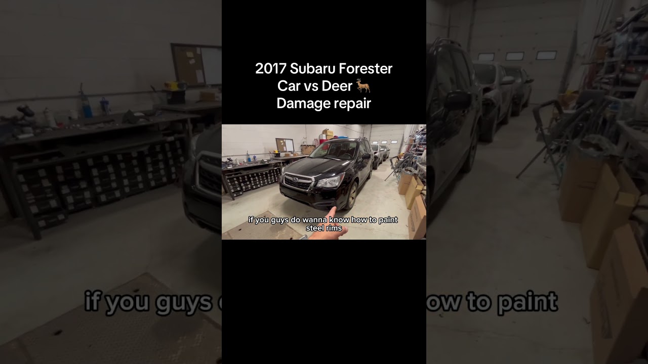 Subaru assembly after collision with a deer 