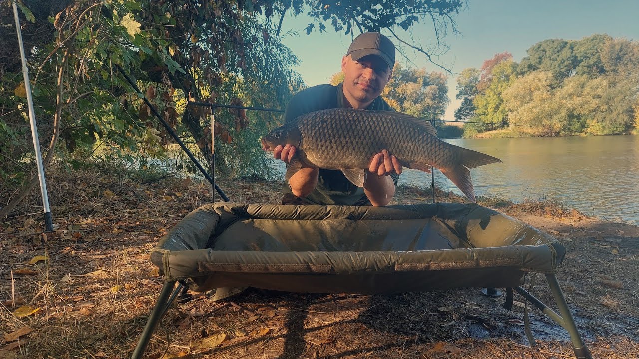River Carp Fishing.Toamna r&icirc;ul Nistru pescuit cu capturi frumoase crap și platică.Рыбалка на Днестре