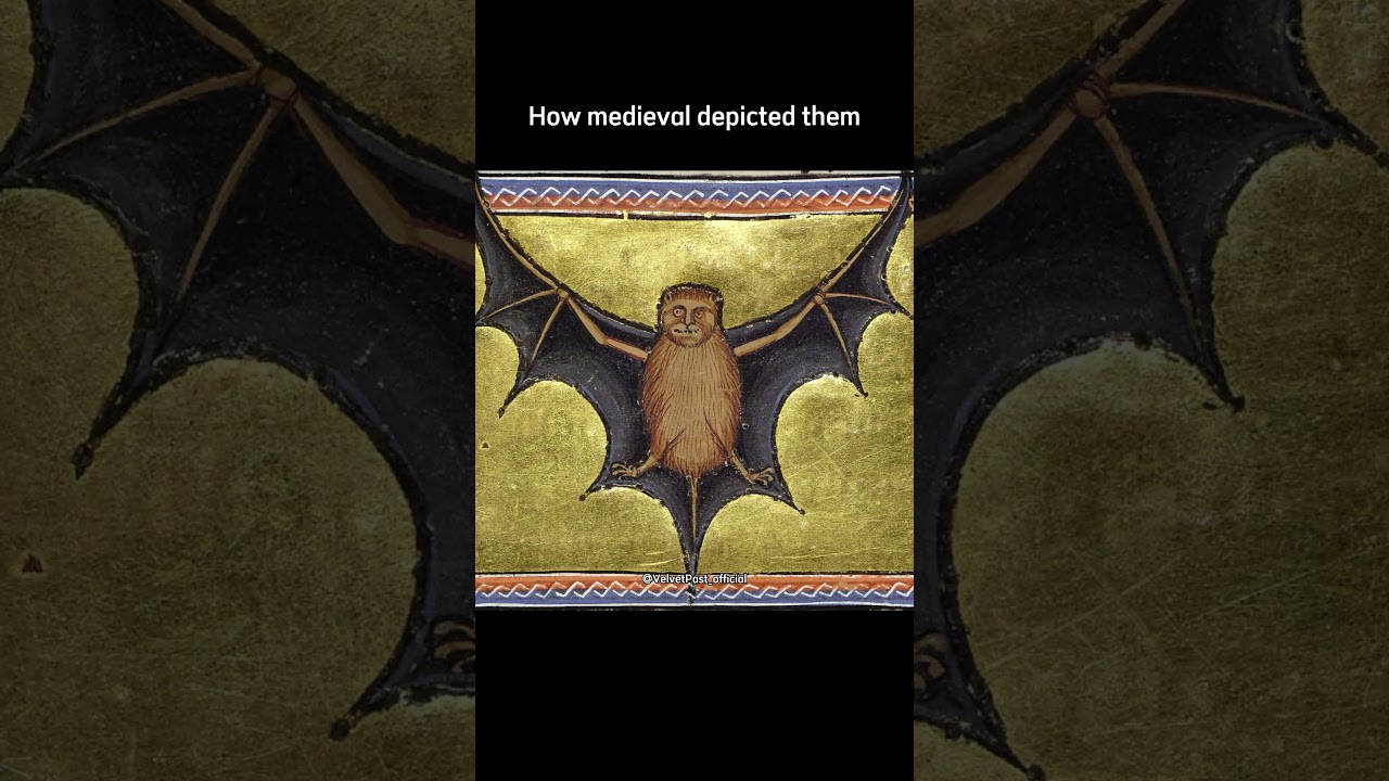 Ancient Japanese vs Medieval bat art 🦇 #bat #ancient #japan #medieval #art #shorts