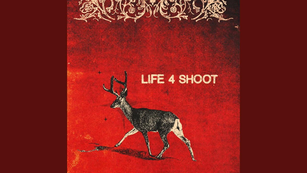 Life 4 Shoot