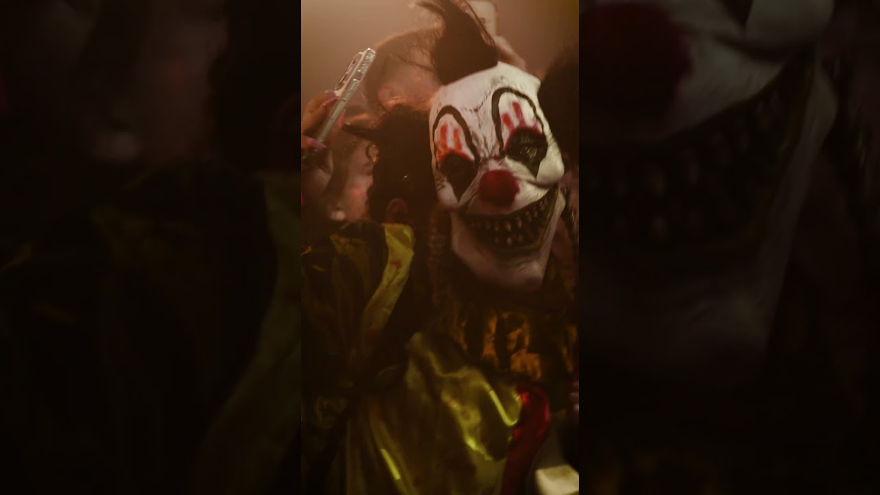 DarkDog x Eurock&eacute;ennes / Yvideo