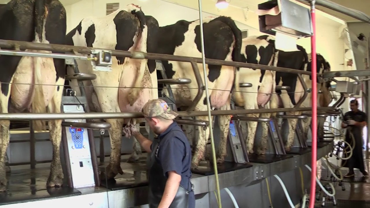 Dairies to Prairies:  State-of-the-art Fair Oaks Farms