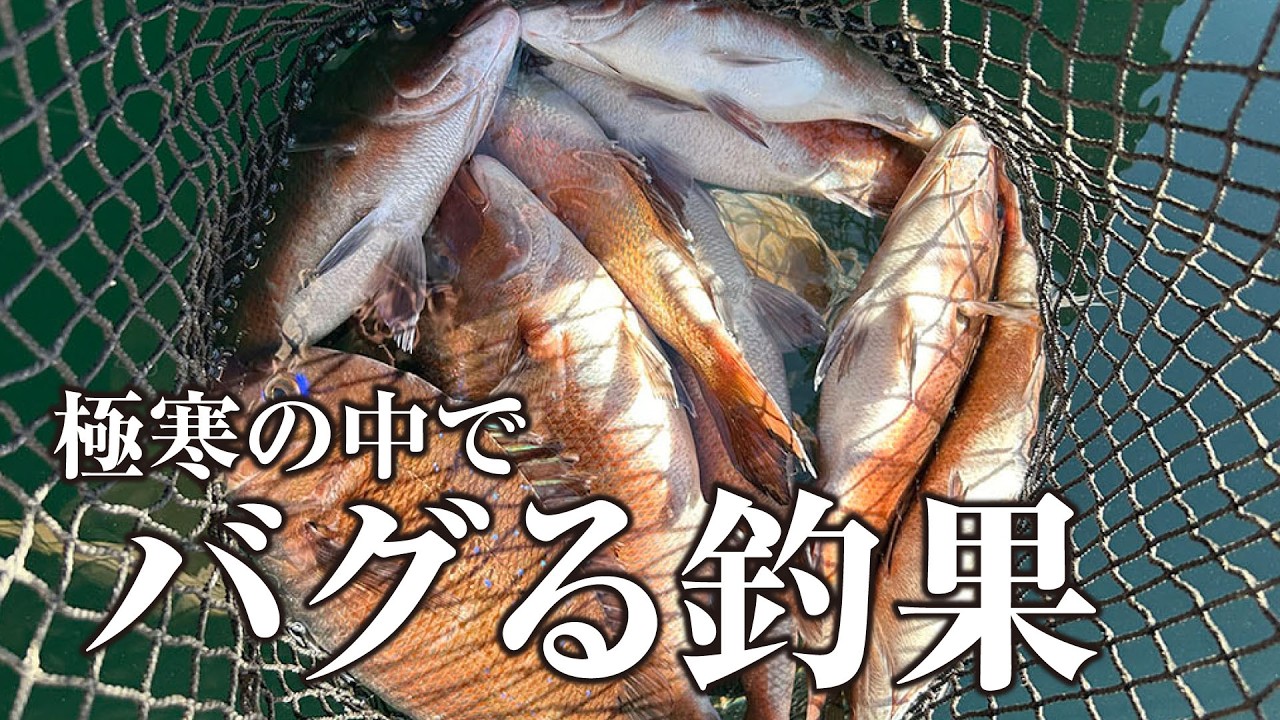 簡単にモトが取れてしまうエグすぎる海上釣り堀があった | ガッ釣り関西290