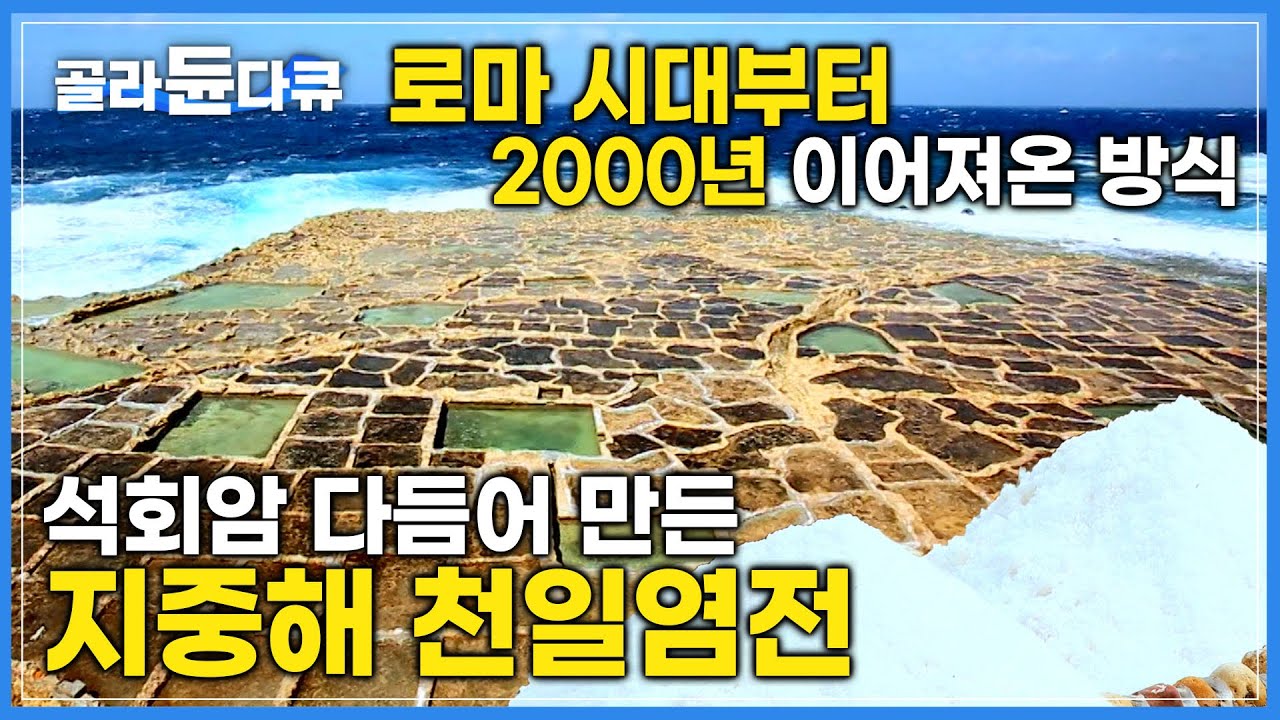 미네랄 풍부한 천일염이 만들어지는 지중해 '천연 석회암 염전'|5대째 이어져 오는 유럽 몰타의 천일염전🧂|몰타 고조섬 위에니 베이|세계테마기행|