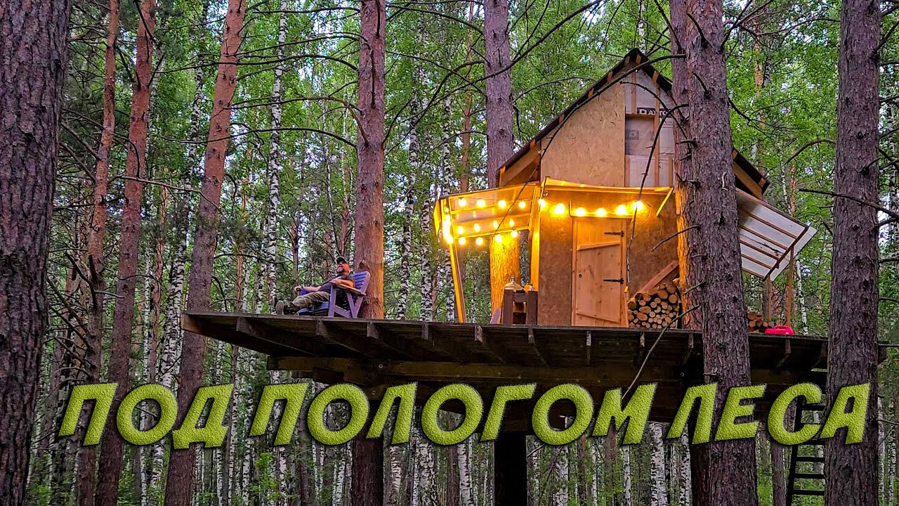 ПОБЕГ ИЗ ГОРОДА / ПОД ПОЛОГОМ ЛЕСА