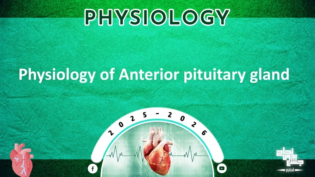 Revision of L1: Physiology of anterior pituitary gland; Physiology 