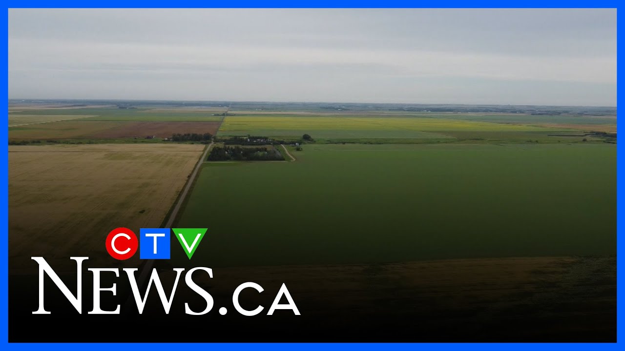 Westlock County declares state of agricultural disaster