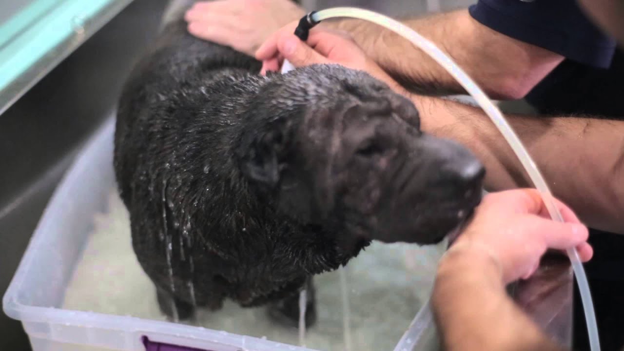 How easy is a TheraClean procedure?