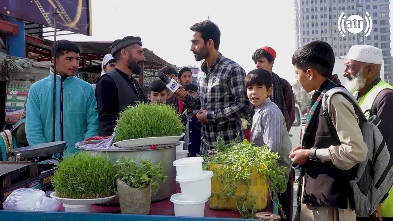 Traditional Samanak in 4th Macroryan, Kabul / سمنگ تیرماهی در مکروریان چهارم