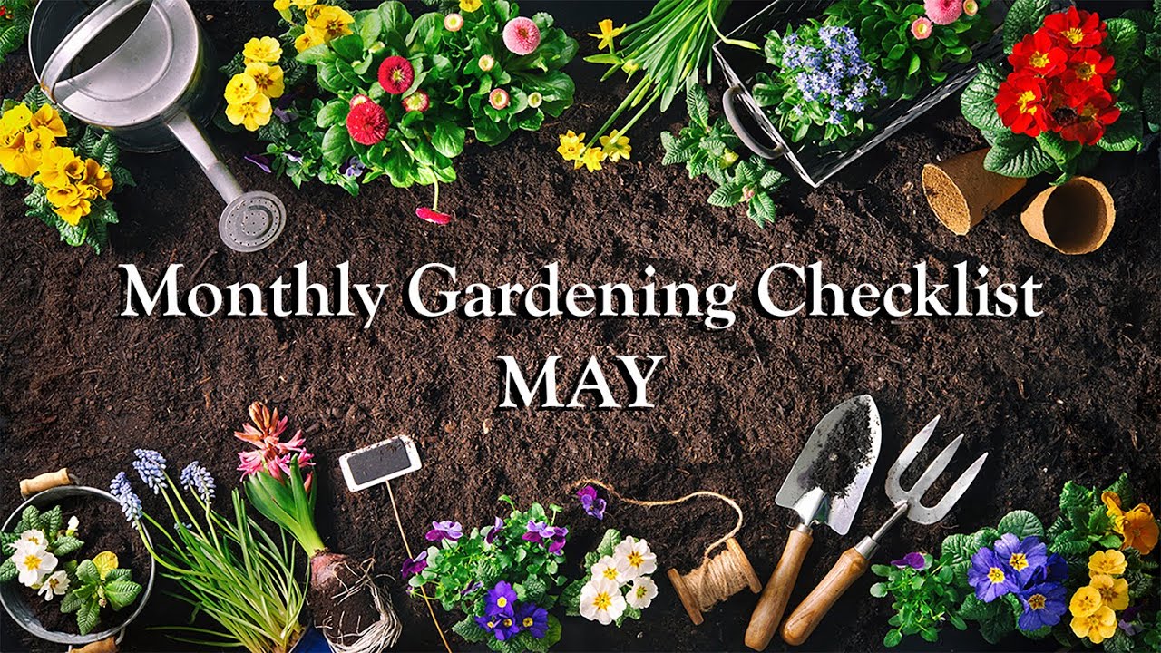 Monthly Gardening Checklist Tips for May with Sarah Smith