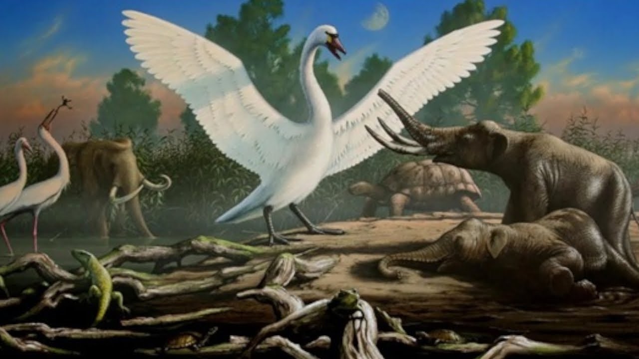 Why THIS Image Is To Scale....