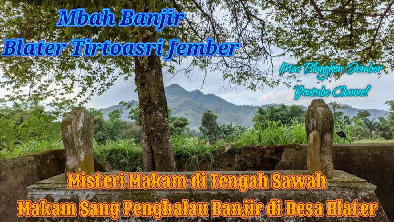 Misteri Makam Leluhur di Sawah Desa Blater Tirtoasri Ambulu Jember. Mbah Banjir