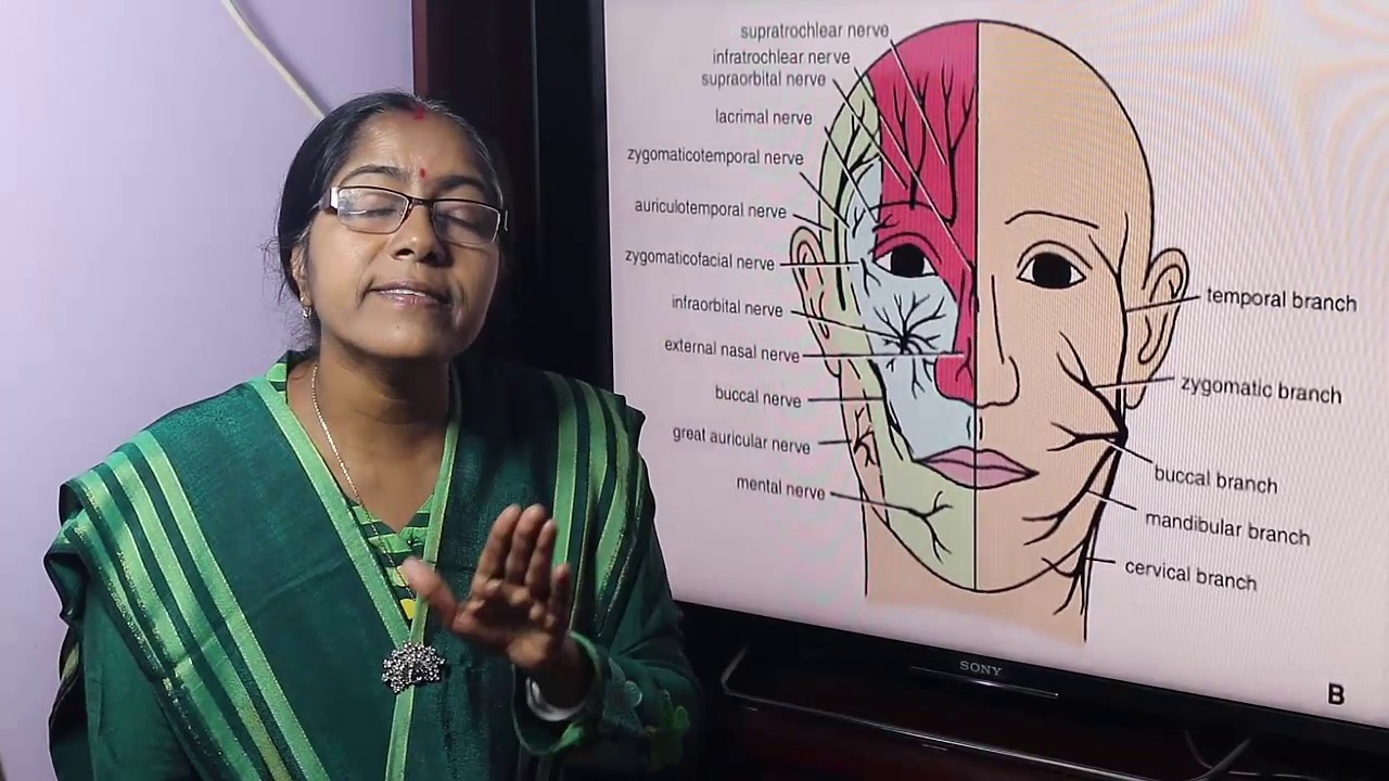 Lecture On Face