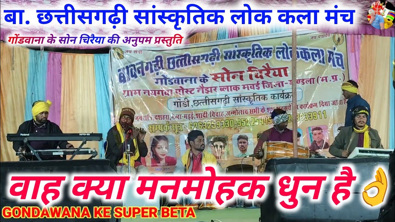 वाह क्या मनमोहक धुन है 👌 || गोंडवाना के सोन चिरैया की अनुपम प्रस्तुति || Dhan Singh Parte stage show