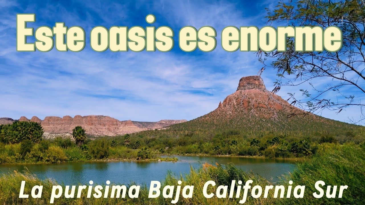 Este lugar es el PARAISO y está en BAJA CALIFORNIA SUR | Ven y visita este OASIS