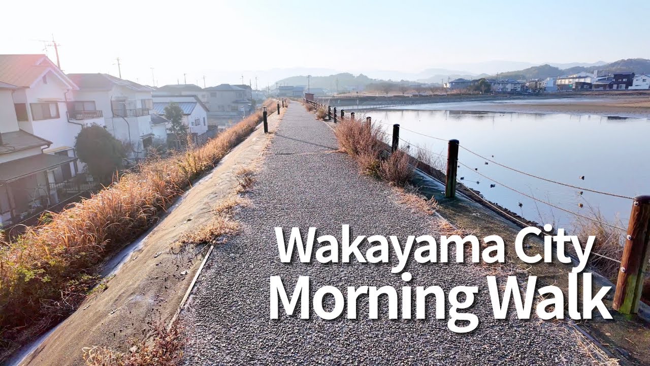 Calm Morning Walk by the Pond | Hiraike Park, Wakayama, Kinokawa City, Japan 🇯🇵