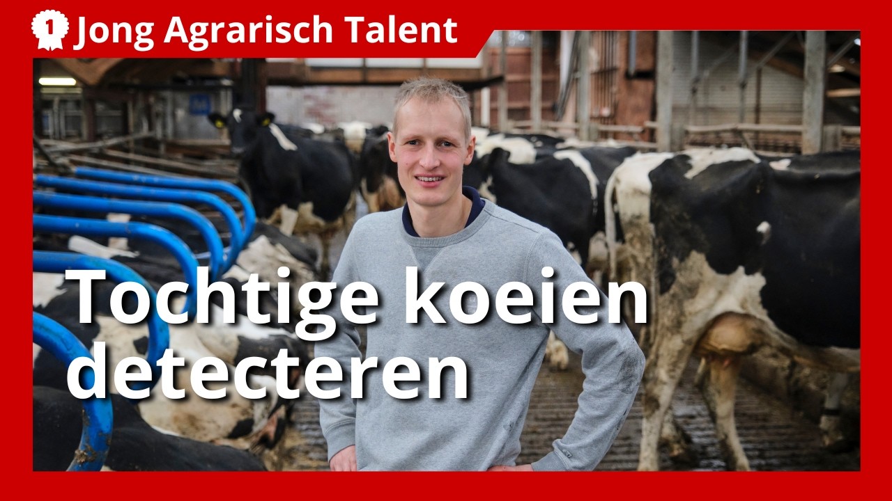 Jonge melkveehouder Jan Jaap ontwikkelt gratis tool voor detecteren van tochtige koeien