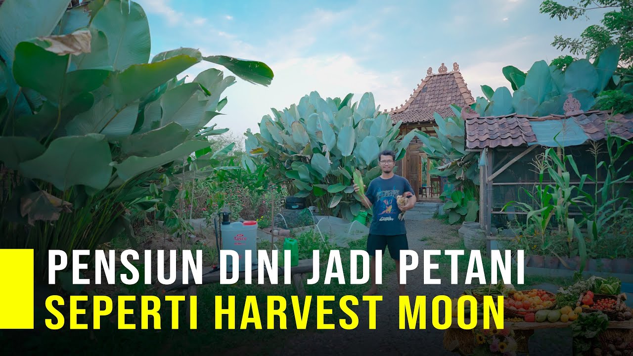 Tinggalkan Karir Di Kota Jadi Petani Di Desa Hidup Bahagia Seperti Game Harvest Moon