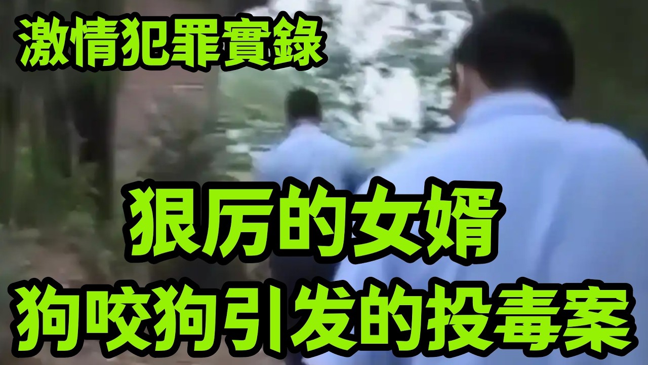 情罪录｜狠厉的女婿，狗咬狗引发的投毒案