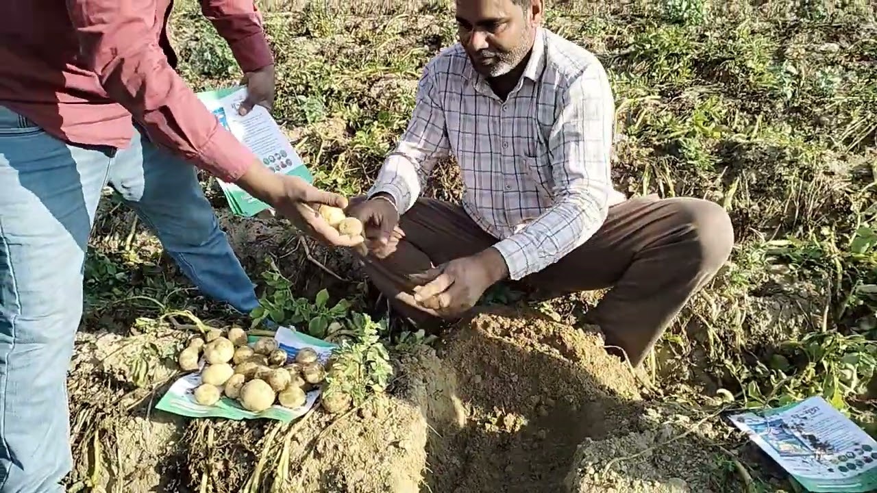 #viralvideo #mohan aalu 