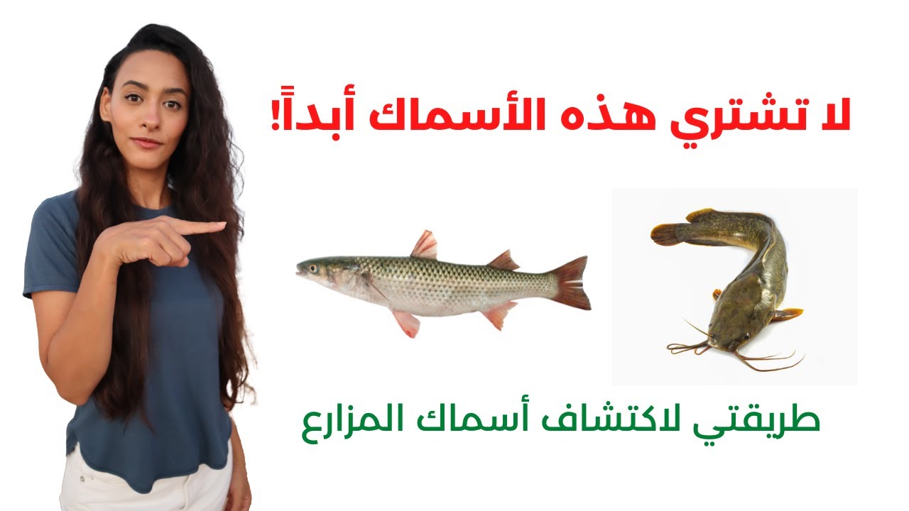 تناول هذه الأنواع من الأسماك يصيبك بالأمراض / قائمة بأسوأ أنواع السمك