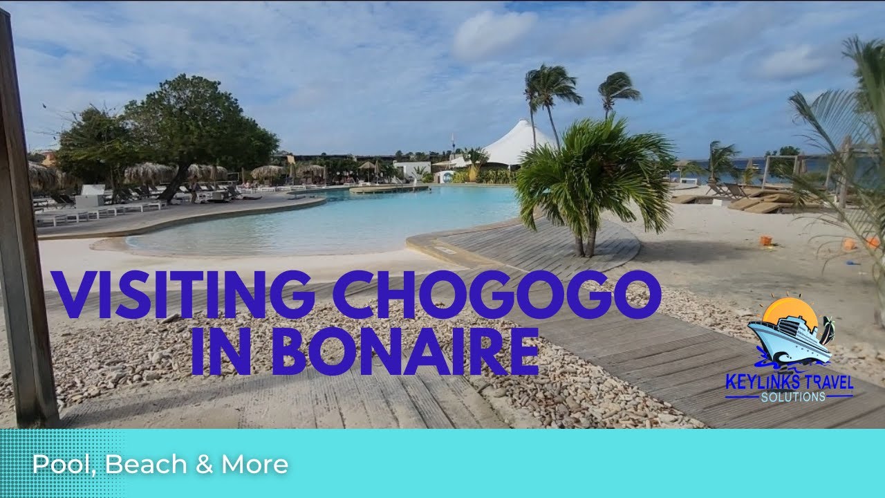 Chogogo Day Pass in Bonaire